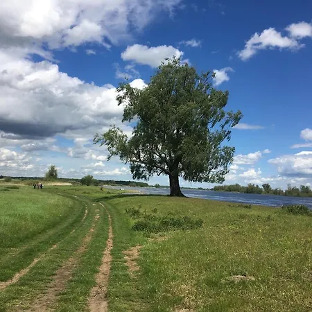 104-tinyhouse Mit Wiesenblick